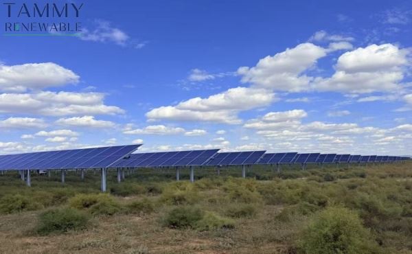 Zemes-Efektīva lauksaimniecības-PV sistēma